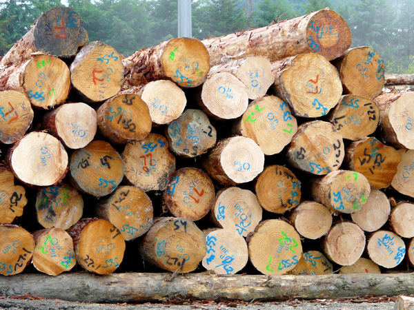 Log Marking